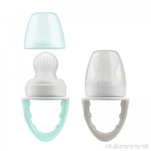 Dr. Brown's Fresh First Silicone Feeder Mint & Grey 2 Count - B07F6VXB15